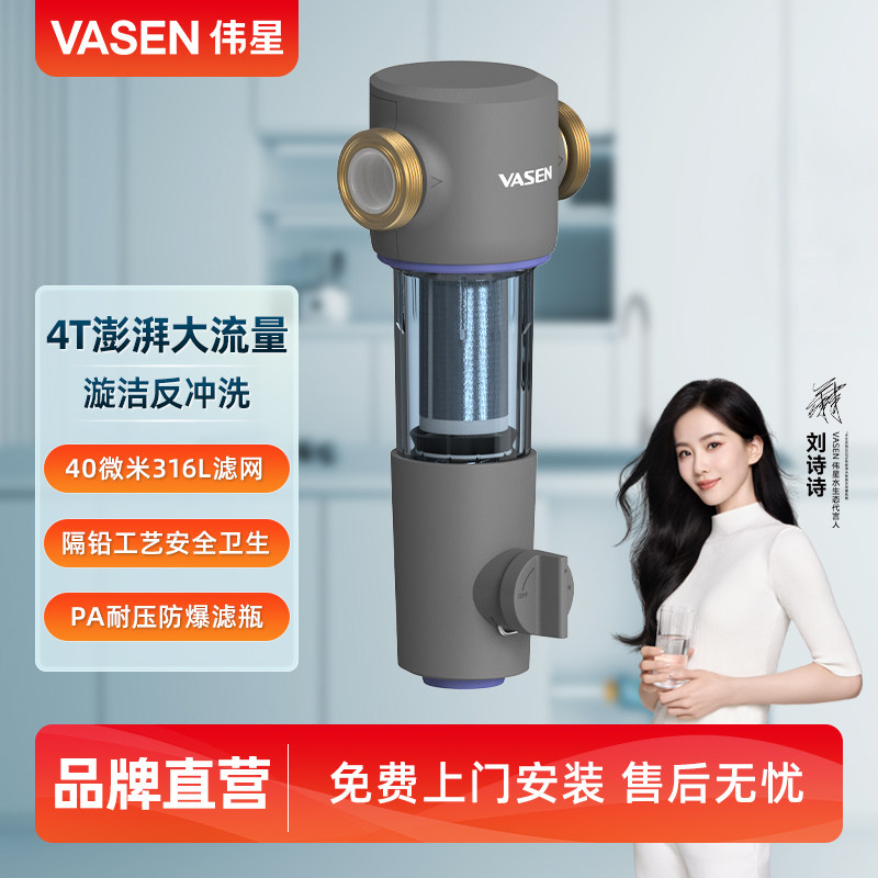 VASEN伟星前置过滤器 反冲洗自来水管道家用4吨大流量 QZBW25F-F5