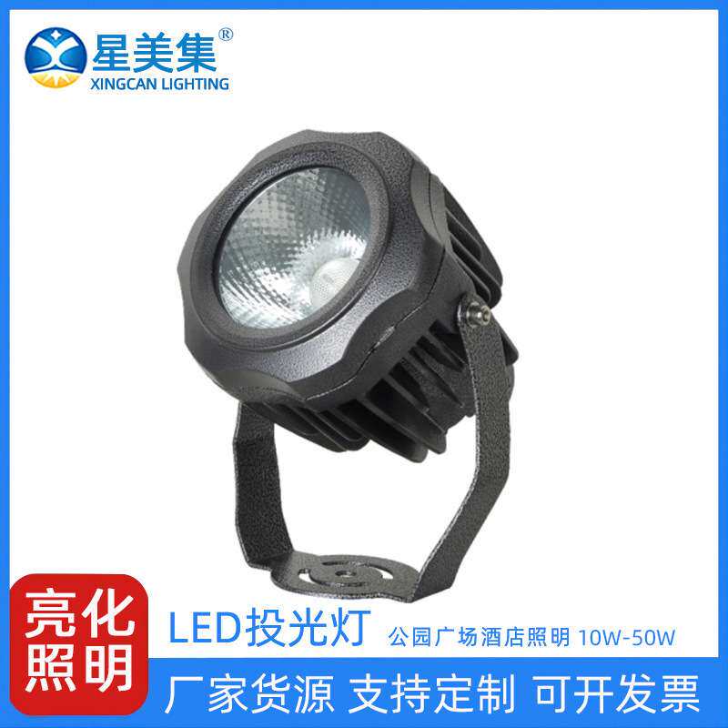 10W20W30W40W50W室外桥梁工程大功率户外防水草坪灯别墅公园投射