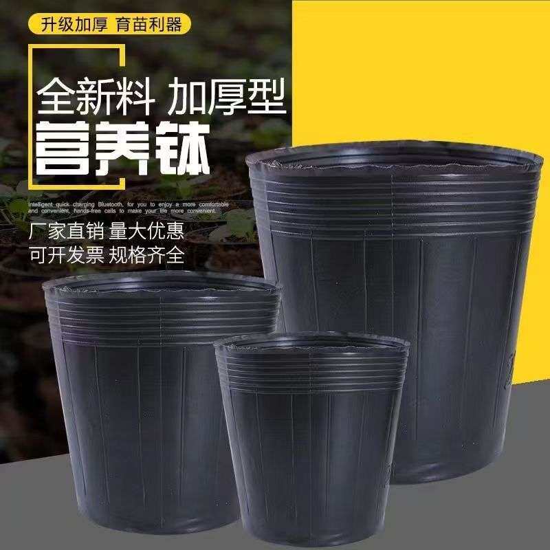 跨境品质园林花卉用营养钵营养袋简易多肉营养杯育苗盆园艺花盆