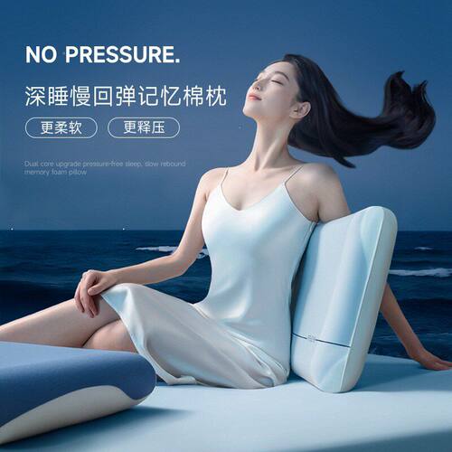 记忆棉助眠护颈枕双芯升级支撑枕头深睡眠柔软慢回弹