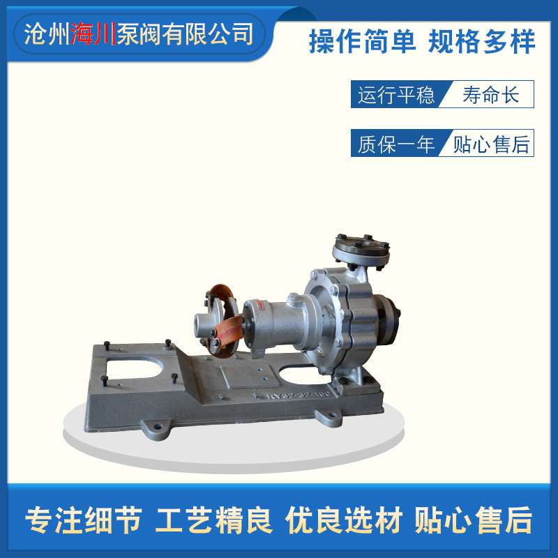 RY不锈钢导热油泵高温循环输送泵循环油泵离心泵锅炉印染定型用泵