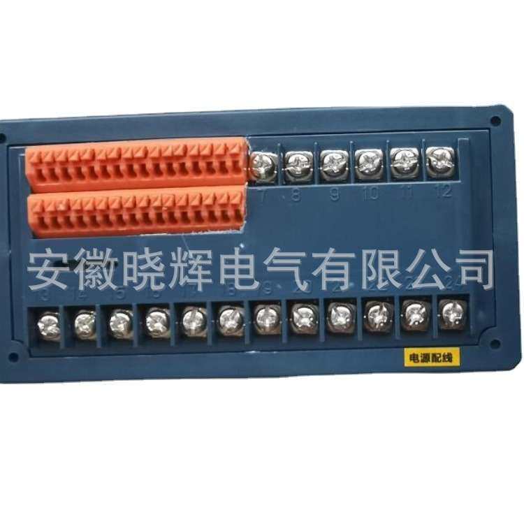 电接点双色液位计DS-8S-19A电接点液位显示控制仪