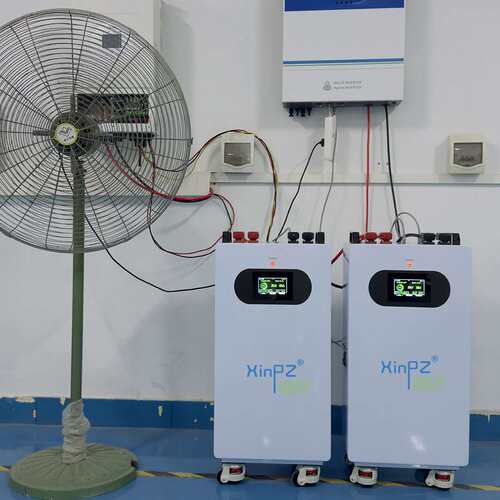 Home LiFePO4 Storage Bat OEM Smart BMS 10Yr Life FD