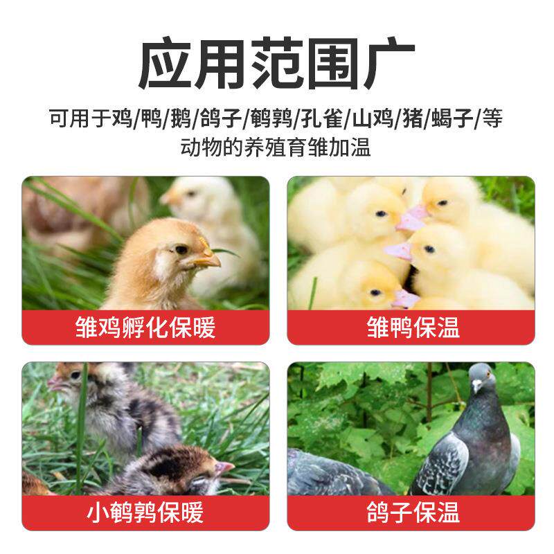 育雏保温器保暖器全自动鸡鸭鹅养殖加温设备电热伞家禽取暖暖风机