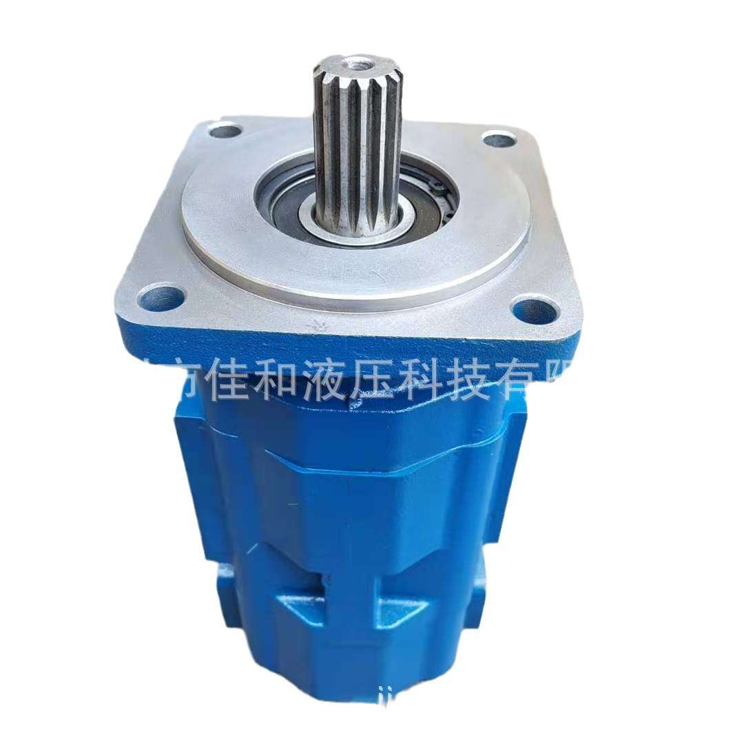 JHP2032/2032双联齿轮泵 吊车JHP高压油泵 铸铁耐高压 非标加工