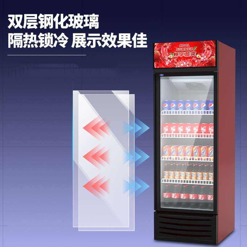 商用大容量饮料柜立式冰箱冰柜玻璃单双门超市啤酒保鲜冷藏展示柜