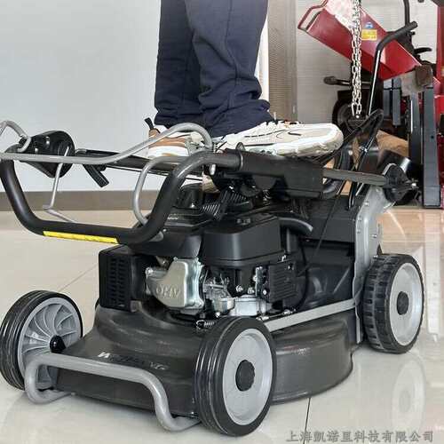 维邦WB536HH草坪机割草机GXV160动力21寸手推式钢底盘剪草除草机