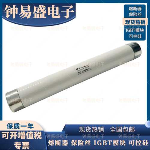 库柏西熔熔断器 RN2-12KV/20KV/24KV/35KV-0.5A/1A/2A 保险管