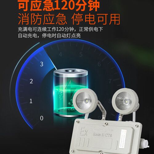 LED防爆双头应急m灯楼梯通道安全出口灯疏散照明应急指示牌标志灯