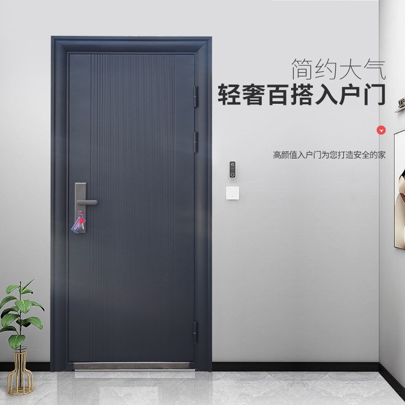 防盗门轻奢入户门简约进户门子母门进户门钢质门工程门