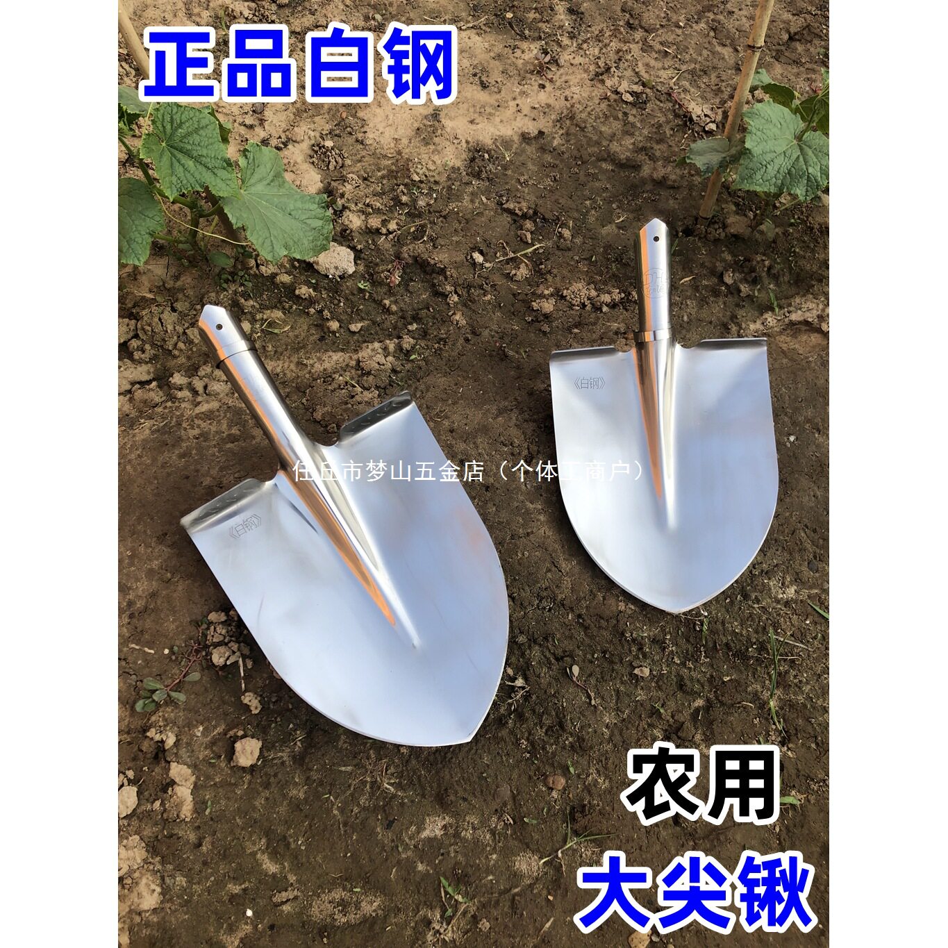 白钢尖锹大号加厚不锈钢铁锹农用不生锈不粘土铲子防锈园艺锹抛光