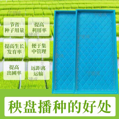 新款水稻b育秧盘稻谷育苗盘7寸 9寸塑料机插育苗盘机插平底盘软盘