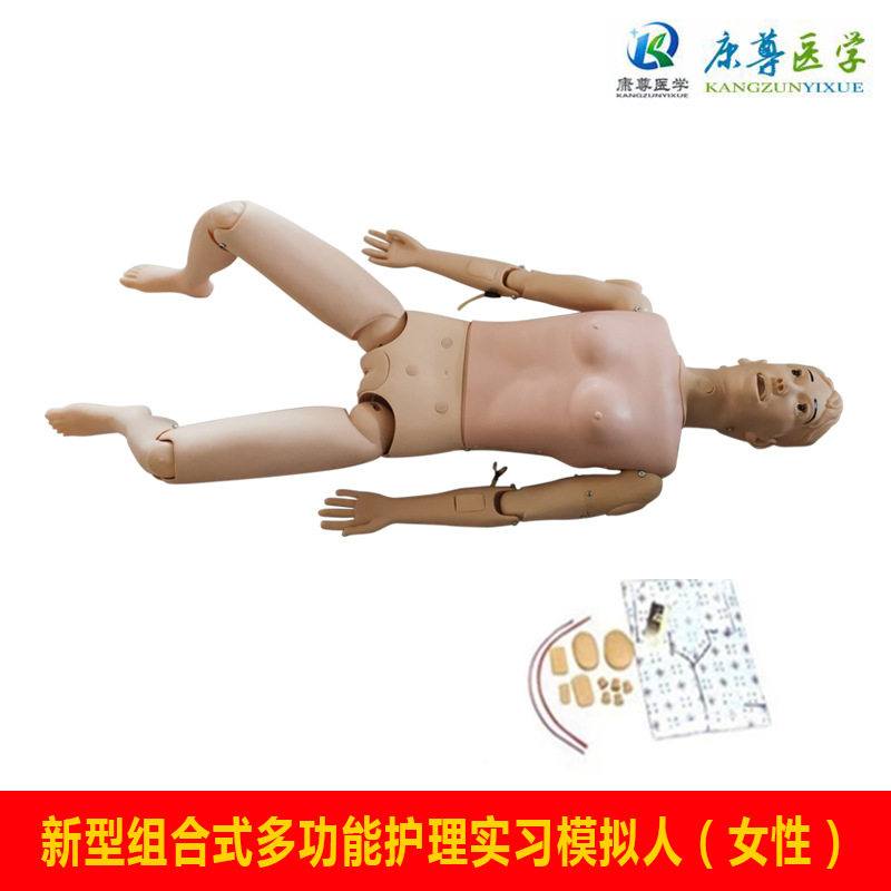 新型组合式女性护理教学人体模型