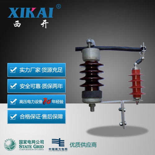 供应西亚电力ZD-OP线路绝缘子ZT-PDLZD-OP100防雷过电压保护器