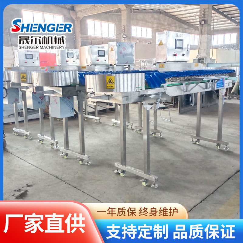 椭圆形电子选果机柑橘重量分选机商用自动水果专用重量分选机设备