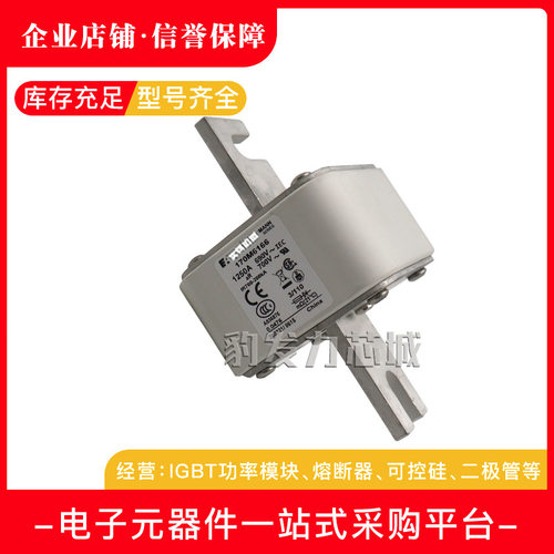 170M6196170M6197170M6198170M6199170M6200170M6201熔断器