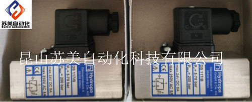 DS117/B/70/B/150/B/240B压力表