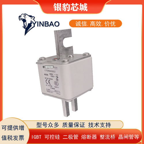 170M4008 170M4009 170M4010 170M4011 170M4012 170M4013熔断器