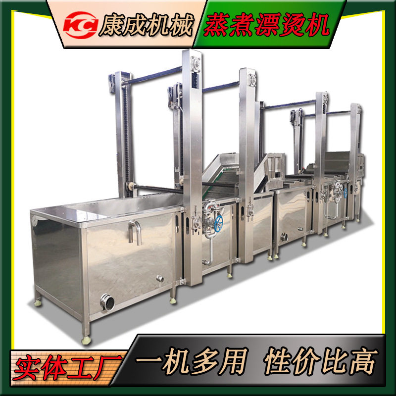 链板式食用菌蔬菜漂烫杀青机