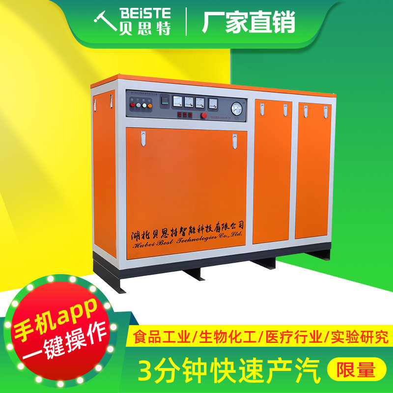 贝思特电加热蒸汽发生器免报检