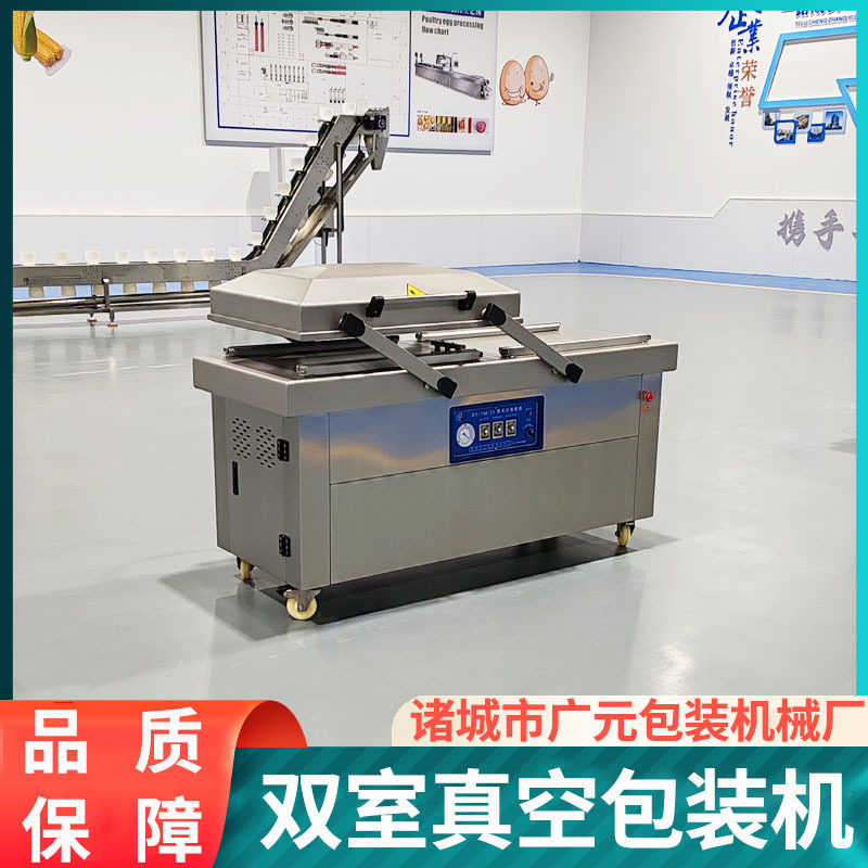 豆制品真空包装设备 臭豆腐生胚真空包装机 DZ-500双室真空机