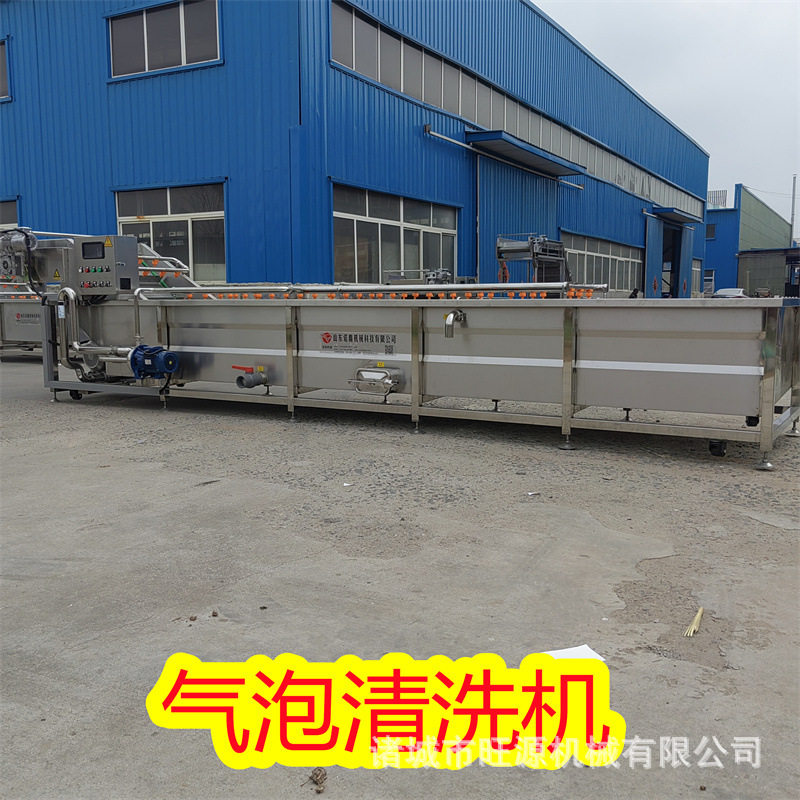水果气泡清洗机全自动高效去污