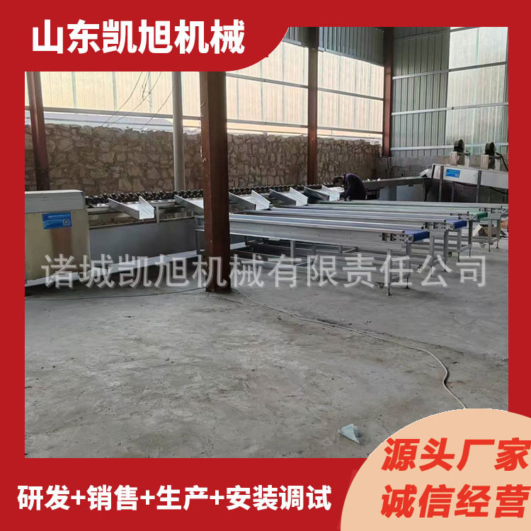 南方椰子百香果自动重量分选机