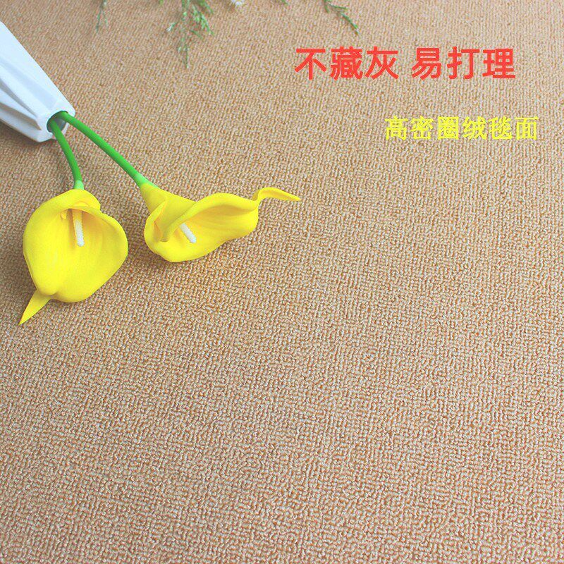 拍照摄影背景地毯 客厅茶几毯门口脚垫 走廊阳台飘窗地垫现货代发