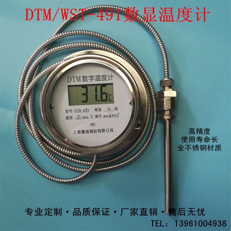 上海耀诚数显温度计带探头WST/DTM-491高精度电子工业防水温度计