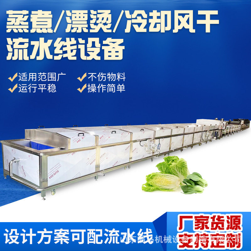 厂家蔬菜清洗杀青机流水线