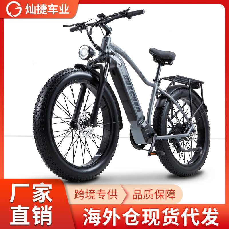 电动自行车减震海外仓山地车粗胎工厂价雪地车BIKE欧美RX50