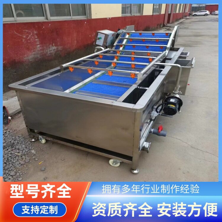 百合气泡清洗机荷兰豆翻浪清洗机器马兰菜鼓泡清洗设备