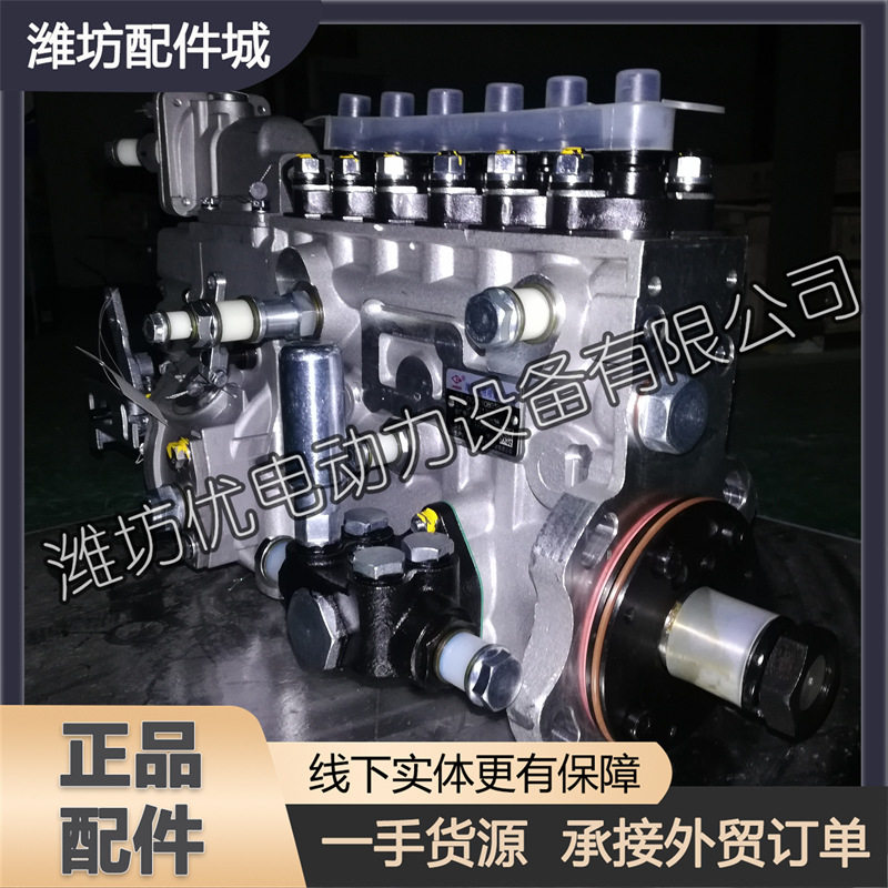 潍柴斯太尔WP10高压喷油泵