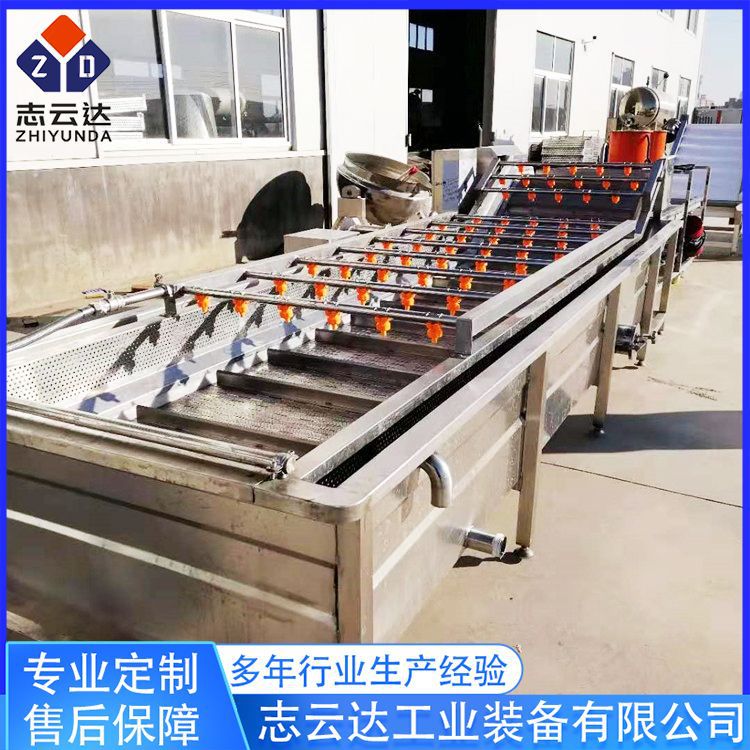 全自动果蔬清洗流水线
