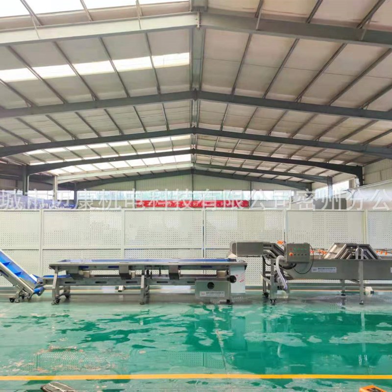 全自动椰子清洗破碎榨汁机 百香果清洗T榨汁加工流水线