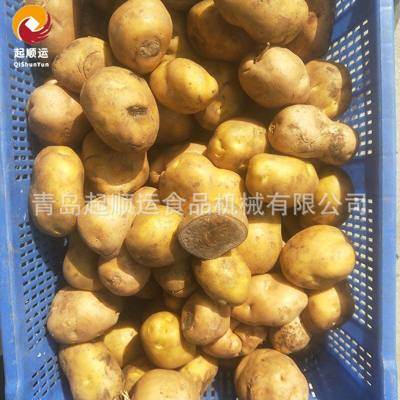 红薯去皮机 地瓜蕃薯削皮机 不锈I钢商用地瓜芋头清洗去皮机