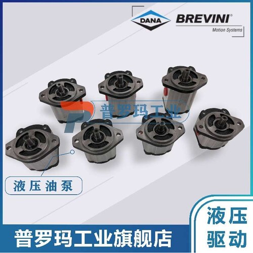 BREVINI油泵OT200P08D/P28P2 G28 B25B2 B23 B25B4 B5 B24B6 B7