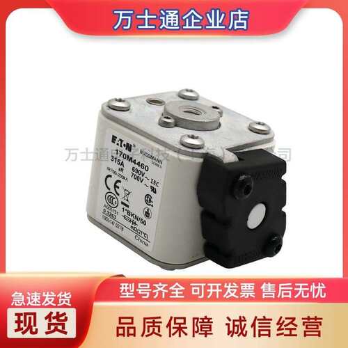 170M8600 170M8601 170M8602 170M8603 170M8604 170M8605熔断器