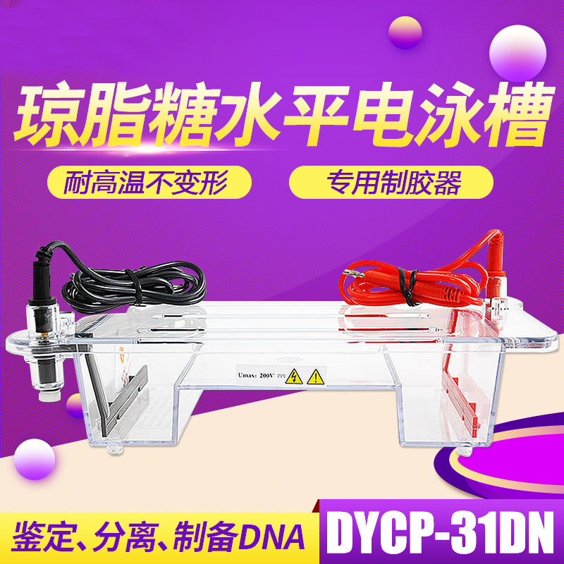 水平电泳槽DYCP-31DN电泳仪实验室琼脂糖核酸凝胶制胶器