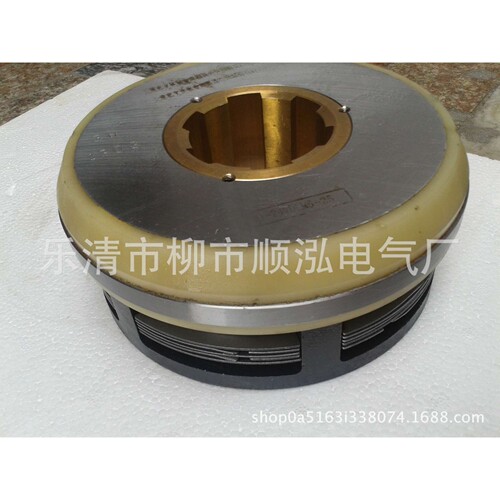 厂销 湿式多片电磁离合器件 DLM5-40 机床机械配件 DC24V