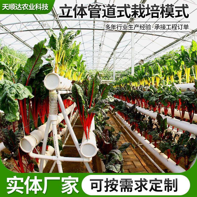 水管道叶菜蔬立菜种植管体培栽培架无土栽培水植槽水培管道式栽培