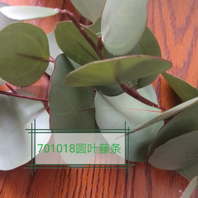 仿真植物尤加利圆叶藤条701018 家居插花装饰 尤加利叶子植物墙