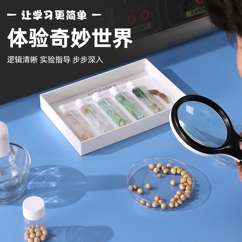 科学实验教学套装物理电学声w热学光实验箱益智小学手提实验教具
