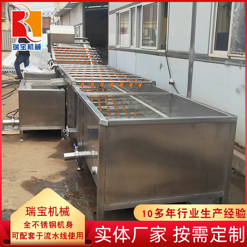 大型豆芽菜全自动清洗设备 直供高压水流喷淋式清洗机 气泡清洗机