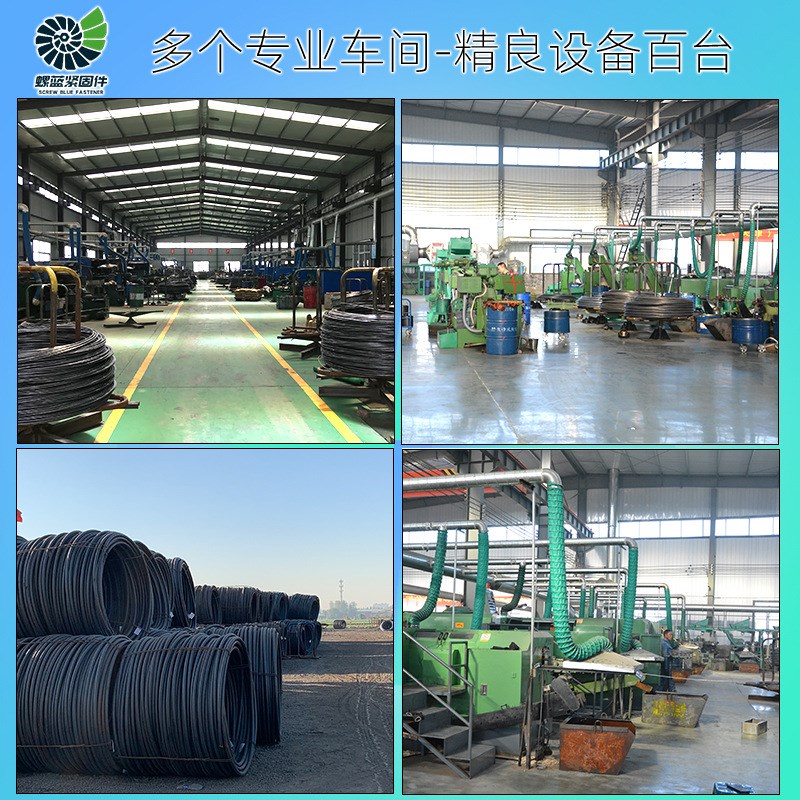 定制高强度非标异型螺栓生产热打冷镦数控加工各种异形件螺丝
