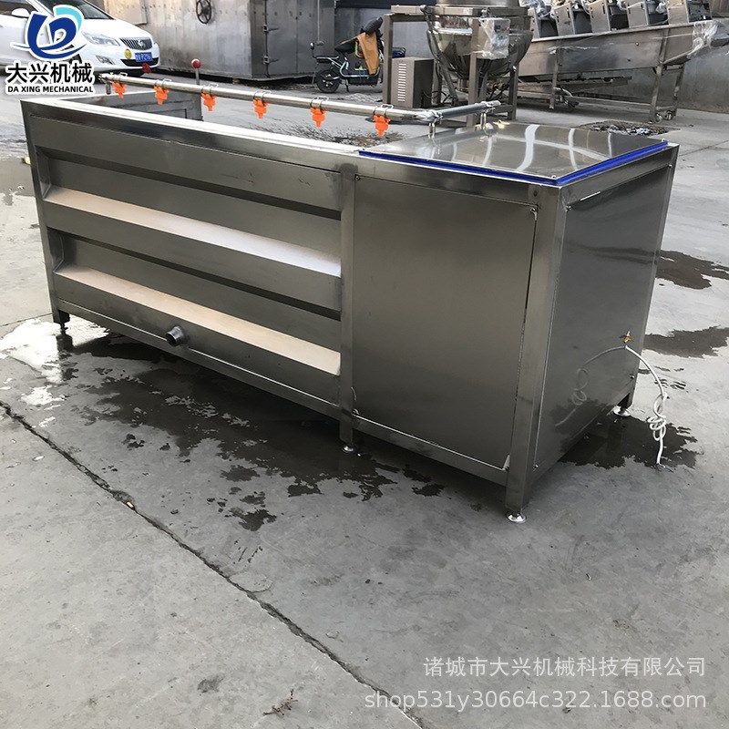 银杏果毛辊清洗机 全自动毛刷喷淋清洗机 白果清洗机设备