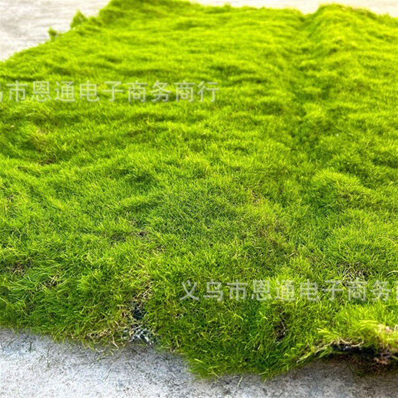 仿真苔藓植绒绿色假苔藓 青苔微景观盆景装饰材料 草坪草皮装饰品