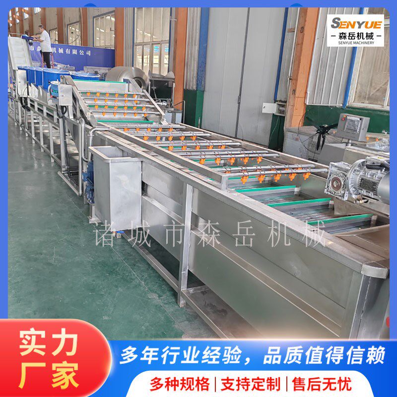 果蔬气泡清洗机农k产品气泡洗菜机商用304材质净菜清洗加工生产线