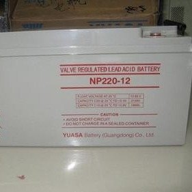 汤浅蓄电池NP220-12 汤浅蓄电池12V220AH 铅酸免维护蓄电池 汤浅