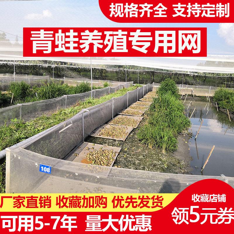 青蛙养殖围网防逃网养蛙围网蟾蜍食台网牛蛙防虫网专用网布包邮